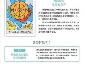 《命运之轮冠位指定：值得培养的卡牌及必练卡推荐》