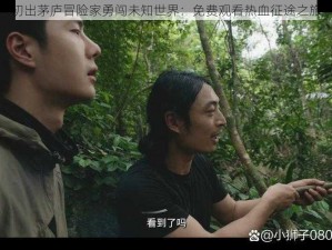 初出茅庐冒险家勇闯未知世界：免费观看热血征途之旅