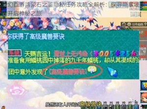 梦幻西游鸿蒙石之鉴隐秘任务攻略全解析：探寻隐藏线索，开启神秘之旅