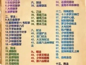 少林绝学传世武功揭秘：江湖实战派武学放置推荐指南