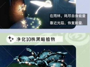 光遇1月29日荧光小菇位置揭秘：精准指南分享，探寻神秘菇影之所在