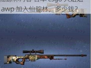 日本csgo大姐姐awp多少钱加入仙踪林内容 日本 csgo 大姐姐 awp 加入仙踪林，多少钱？