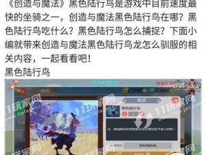 创造与魔法挂机脚本辅助工具免费赠送：轻松提升游戏体验，开启高效自动化模式