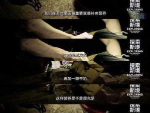 跨界探寻揭秘黑蛋诞生的背后真相与任务委派之源起之旅