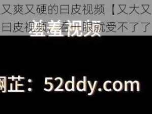 又大又爽又硬的曰皮视频【又大又爽又硬的曰皮视频，看一眼就受不了了】