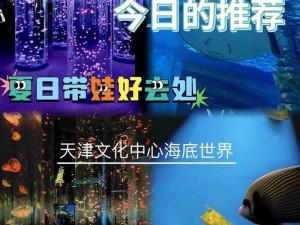 关于海底水族馆全面安装与配置详解指南