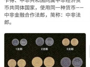 结壳硬币何处寻踪：揭秘收藏、交流与鉴赏的多元世界