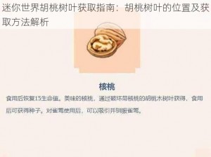 迷你世界胡桃树叶获取指南：胡桃树叶的位置及获取方法解析