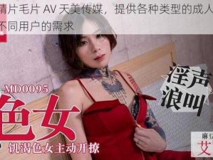 国产精片毛片 AV 天美传媒，提供各种类型的成人影片，满足不同用户的需求