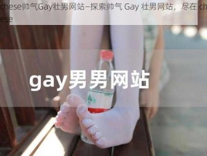 chese帅气Gay壮男网站—探索帅气 Gay 壮男网站，尽在 chese