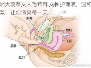 亚洲大荫蒂女人毛茸茸 女性护理液，温和不刺激，让你清爽每一天