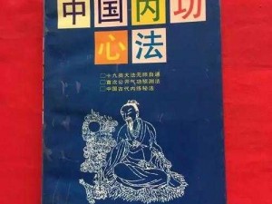 内功强化：提升角色输出威力与技能效率的核心修炼之道