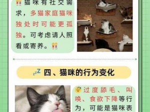 猫旅馆探秘：猫咪味蕾独特偏好之揭秘这个结合了实事信息与猫咪口味喜好为核心，希望您喜欢