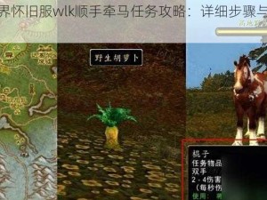 魔兽世界怀旧服wlk顺手牵马任务攻略：详细步骤与技巧分享