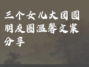 大团圆结2亲情会目录在哪儿看、大团圆结 2 亲情会目录在哪儿看