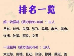 三国英雄荟萃：武将风采各等级一览