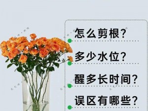 花花社区,如何在花花社区中提升活跃度？