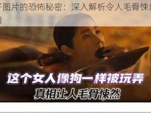 血滴子图片的恐怖秘密：深入解析令人毛骨悚然的背后真相