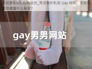 男武警私秘Gay网站的_男武警的私密 Gay 网站，里面究竟隐藏着什么秘密？