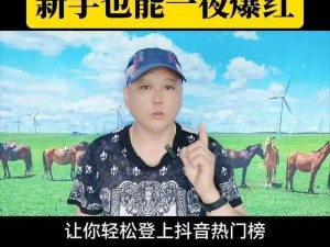 探索抖音热门之谜：'问了问了是什么歌曲'的流行秘籍