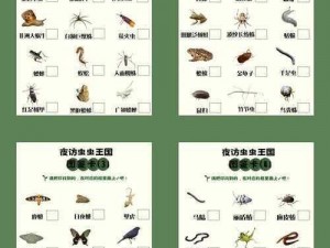 昆虫世界游戏特色内容全面解析：生态探险、策略战斗与独特玩法一览