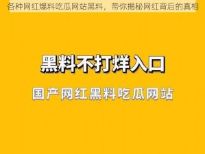 各种网红爆料吃瓜网站黑料，带你揭秘网红背后的真相