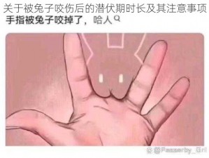 关于被兔子咬伤后的潜伏期时长及其注意事项