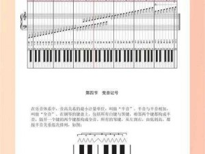 钢琴师note分类详解：从基础到进阶的全面指南