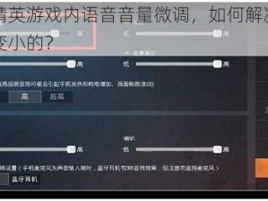 和平精英游戏内语音音量微调，如何解决开麦声音变小的？