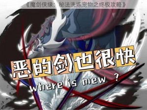 《魔剑侠缘：秘法洗炼宠物之终极攻略》