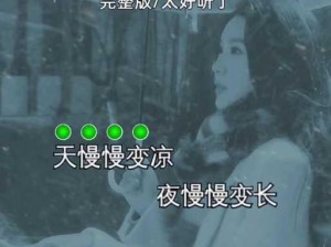 抖音热门歌曲：那年冬天，雪舞飘扬旋律飞旋深度解读与赏析