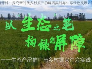 清源村：探究新时代乡村振兴的鲜活实践与生态绿色发展之路