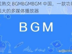 成熟交 BGMBGMBGM 中国，一款功能强大的多媒体播放器