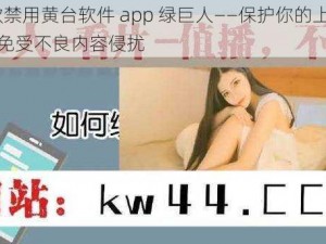 10 款禁用黄台软件 app 绿巨人——保护你的上网安全，免受不良内容侵扰