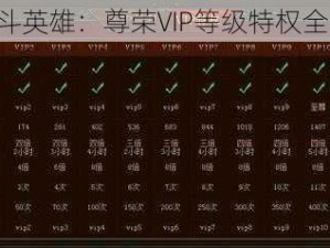 《幻斗英雄：尊荣VIP等级特权全解析》