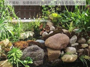 明日巡逻任务揭秘：投喂鱼料行动展开，探寻生态与自然和谐共处之道