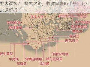 荒野大镖客2：探索之路，收藏家攻略手册：专业收藏之道解析