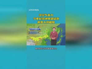 大地资源网在线资源播放-大地资源网在线资源播放是否安全可靠？