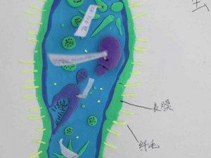 我成了生物课的教具，开始了我的奇妙旅程