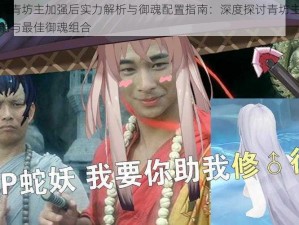 阴阳师青坊主加强后实力解析与御魂配置指南：深度探讨青坊主的战斗潜能与最佳御魂组合