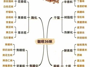 咖啡口感排行前十强，深度解析品味之旅