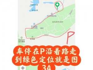 森林传送圈任务简易三步指南：探索、连接、完成