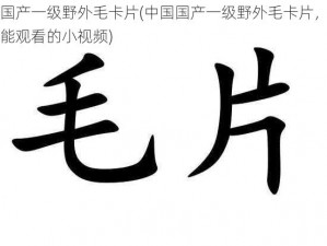 中国国产一级野外毛卡片(中国国产一级野外毛卡片，成年人才能观看的小视频)