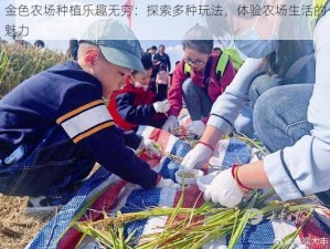 金色农场种植乐趣无穷：探索多种玩法，体验农场生活的魅力