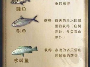 明日之后：观赏鱼——生活美化与生存技能的双重之选