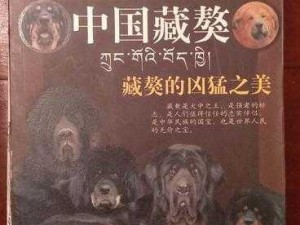 藏獒把我爽到高潮了小说-藏獒凶猛：一夜爽到高潮