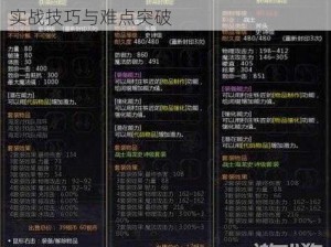 龙之谷手游海龙第二关熔岩岛攻略心得：实战技巧与难点突破