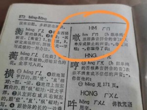 沙家浜爊鸡怎么读_沙家浜爊鸡的爊字怎么读？