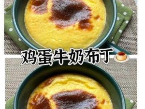 明日之后牛奶布丁制作秘诀：轻松掌握牛奶布丁的烹饪技巧与配方揭秘