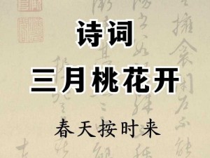 《桃花春意：抖音红歌中盛开的美丽乐章》